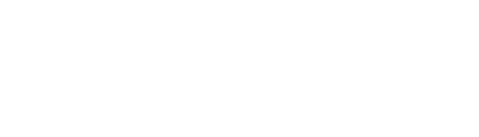 Wild Shore Design